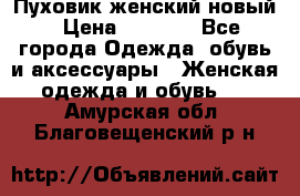 Пуховик женский новый › Цена ­ 2 600 - Все города Одежда, обувь и аксессуары » Женская одежда и обувь   . Амурская обл.,Благовещенский р-н